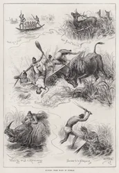 Jagd von Booten in Burma (Gravur)