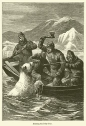 Die Jagd auf den Eisbären