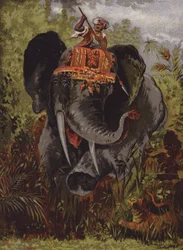 Tigerjagd auf Elefanten, Indien