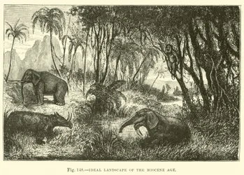 Ideale Landschaft des Miozän-Zeitalters