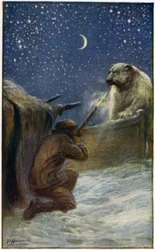 Illustration für Peter der Walfänger von William H. G. Kingston
