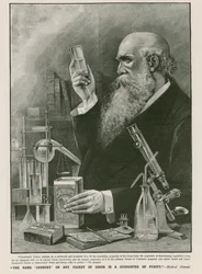 Illustration zur Reinheit von Cadburys Kakao