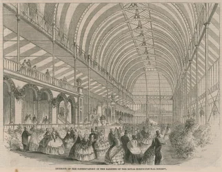 Innenansicht des Gewächshauses in den Gärten der Königlichen Gartenbaugesellschaft