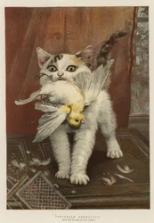 Jugendliche Verderbtheit (Chromolithografie)