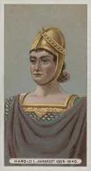 König Harald I., Hasenfuß