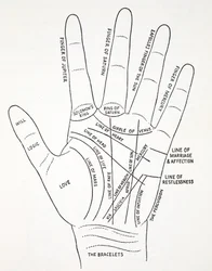 Die Linien der Hand