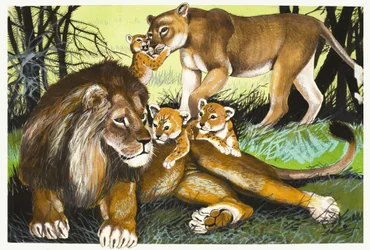Löwe, Löwin und Junge