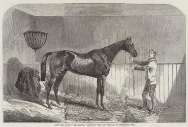 Lord John Scotts „The Reiver“, Gewinner der „July Stakes“ in Newmarket