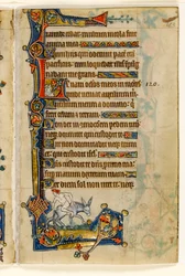 MS 1-2005, fol. 183r: Ein Mann, der rückwärts reitet, Randdekoration aus dem Macclesfield Psalter, Use of Sarum, Ostanglien, um 1330