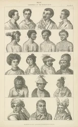 Mensch. Verschiedene Menschenrassen (Stich)