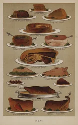 Fleisch