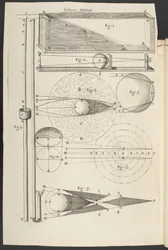 Micrographia, oder einige physiologische Beschreibungen von kleinen Körpern, die mit Vergrößerungsgläsern gemacht wurden, mit Beobachtungen und Untersuchungen darüber