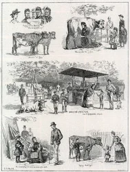 Milchmarkt im St. James