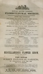 Verschiedene Blumenschau