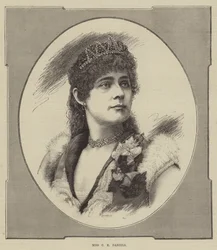 Miss C E Daniels (Stich)