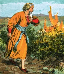 Moses