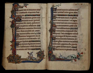 Ms 1-2005, ff.115v-116r: Kaninchenjagd auf einem Hund reitend, Randdekoration aus dem Macclesfield Psalter, Gebrauch von Sarum, Ostanglien, ca. 1330