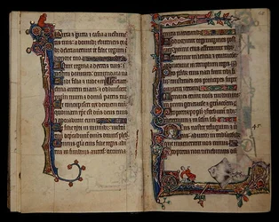 Ms 1-2005, ff.67v-68r: Ein riesiger Rochen erschreckt einen Mann, Randdekoration aus dem Macclesfield Psalter, Gebrauch von Sarum, Ostanglien, ca. 1330