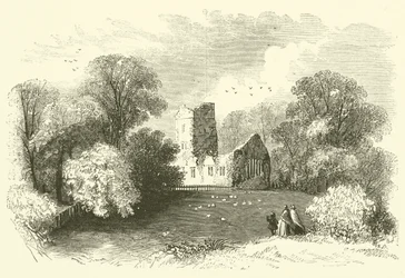 Mucruss Abtei (Stich)