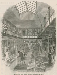 Museum in den Königlichen Botanischen Gärten, in Kew