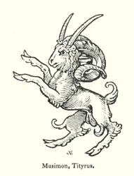 Musimon, Tityrus (Gravur)