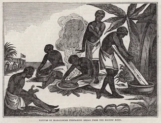 Einheimische von Madagaskar bereiten Brot aus Maniokwurzel zu