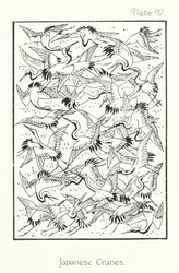 Natur im Ornament: Japanische Kraniche
