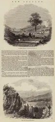 Neuseeland (Gravur)