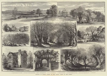 Eröffnung des Epping Forest durch die Königin, Ansichten im Wald (Gravur)