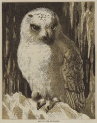 Draußen in der Dämmerung (Gravur)