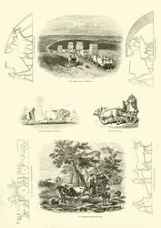 Seite aus dem Bildmuseum der belebten Natur