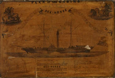 Panorama der Kabinen der SS Sea-horse (Gravur)