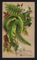 Pflanzenblätter, Weihnachtsgrußkarte, Ende des 19. oder Anfang des 20. Jahrhunderts