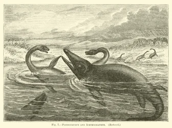 Plesiosaurus und Ichthyosaurus