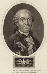 Porträt von Georges-Louis Leclerc, Comte de Buffon