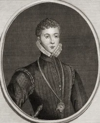 Porträt von Henry Stewart (1545-67) Lord Darnley