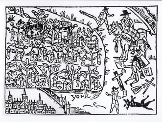 Prinz Rupert (1619-82) versteckt sich in einem Bohnenfeld in der Schlacht von Marston Moor am 2. Juli 1644