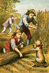 Puss bedroht die Schnitter