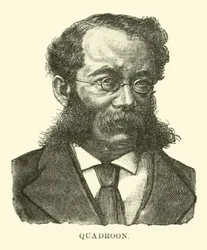 Quadroon