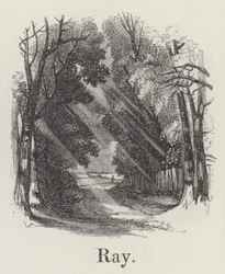 Strahl