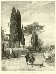 Straße von Cavi nach Genazzano