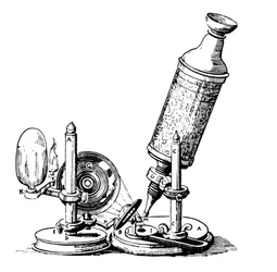 Robert Hookes Mikroskop