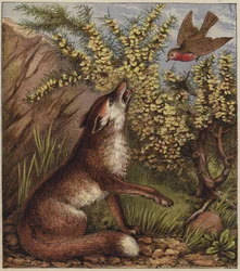 Robins Weihnachtslied