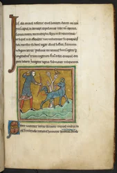 Ein Jäger, der einen Pfeil auf ein Tier schießt, aus Bestiarium (ff. 3-141), Lapidarium (ff. 141v-149), 2. Viertel des 13. Jahrhunderts