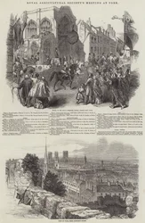 Treffen der Royal Agricultural Society in York (Stich)