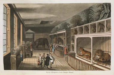 Königliche Menagerie, Exeter (Change Exchange), Strand. Ausgewählte Ansichten von London: mit historischen und beschreibenden Skizzen einiger der interessantesten öffentlichen Gebäude, zusammengestellt und arrangiert von J.B. Papworth. John Buonarotti Papw