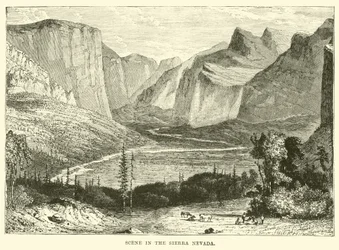 Szene in der Sierra Nevada