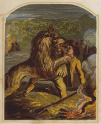 Schottischer Missionar David Livingstone von einem Löwen in Afrika angegriffen (Chromolithografie)