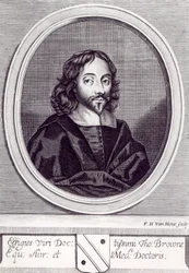 Sir Thomas Browne (1605-82), graviert von Frederick Hendrick van Hove (ca. 1628-98)