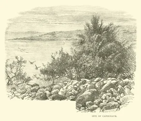 Stätte von Kapernaum